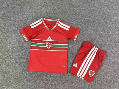 2026 Wales Home Football Shirt Kids Size 1:1 Thai Quality
